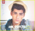 /album/fotogaleria/take-me-home-zayn-jpg/